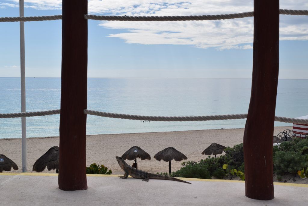 las 15 razones por las que amamos Cancún