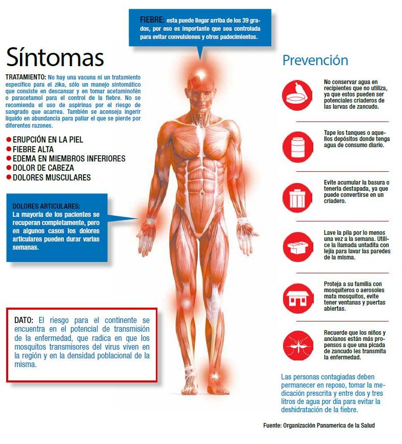 Infografía sobre el virus del Zika